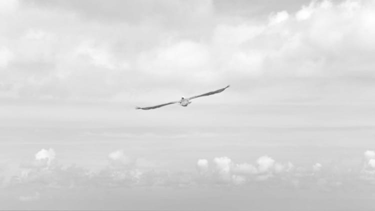 How to Build a $2,000/Month Revenue Stream by Creating & Selling Branded AR Filters on Instagram & TikTok